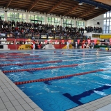 Swimminside in fuga